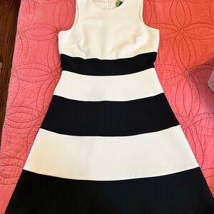 Ann Taylor Black and White Striped Mini Dress